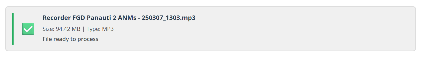 File upload zone with file preview showing filename, size, format, and green File ready to process status